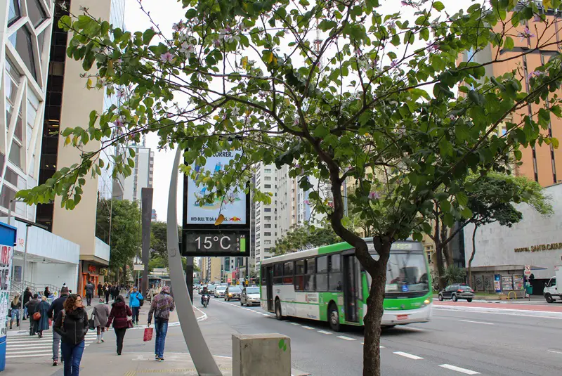 Roteiro o que fazer na Avenida Paulista São Paulo Sem Mesmice