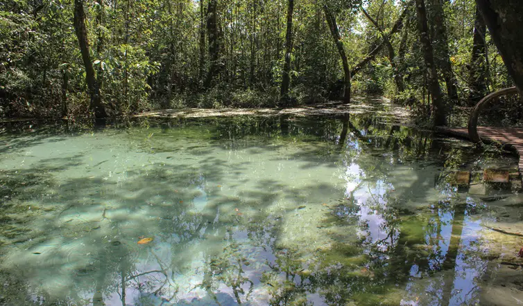 nascente da areia, criando uma espécie de areia movediça. - Picture of Areia  que Canta, Brotas - Tripadvisor