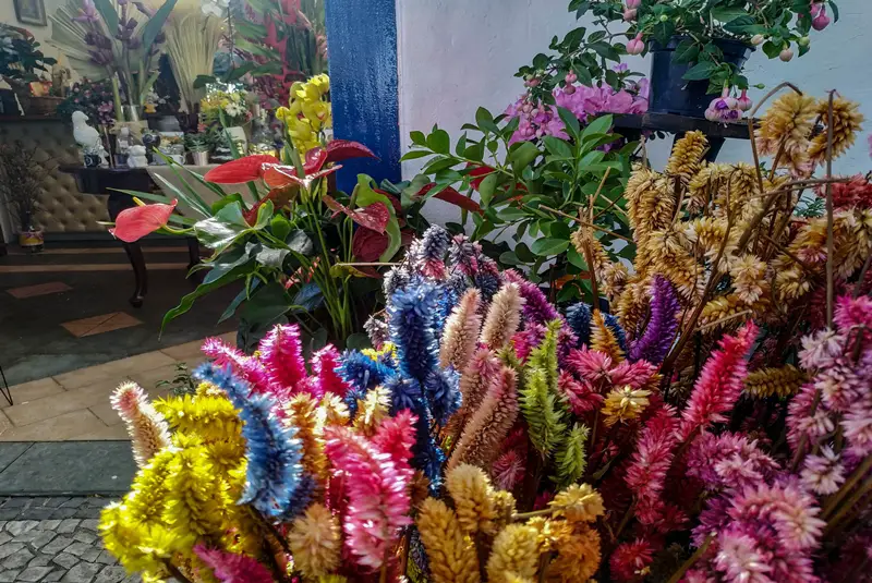 lojas-em-embu-das-arte-flores