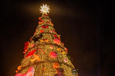 Natal em São Paulo 2022:10 Cidades com decoração de natal Natal em São Paulo 2022:10 Cidades com decoração de natal
