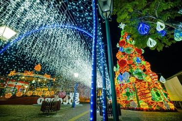 Natal em São Paulo 2022:10 Cidades com decoração de natal
