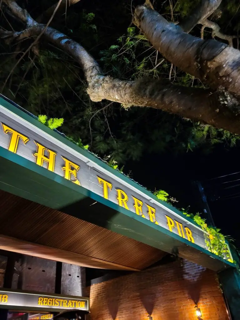 the-tree-pub-atibaia